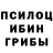 Псилоцибиновые грибы мицелий Vyacheslav savinyth
