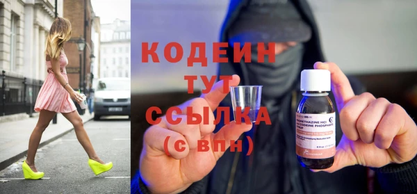 эйфоретик Вяземский