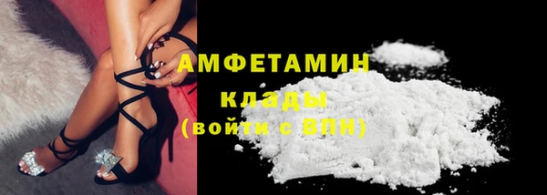 эйфоретик Вяземский