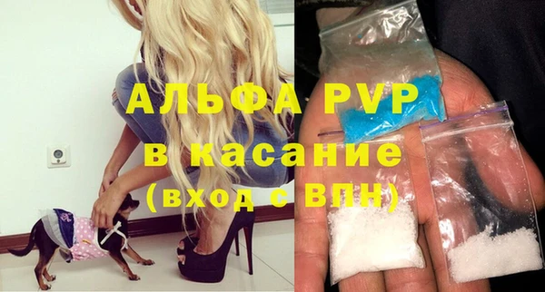 эйфоретик Вяземский
