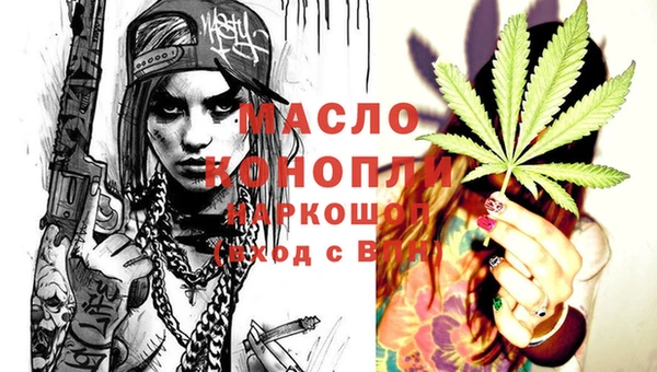 эйфоретик Вяземский