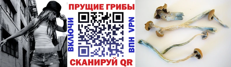 Галлюциногенные грибы прущие грибы  наркошоп  Ессентукская 